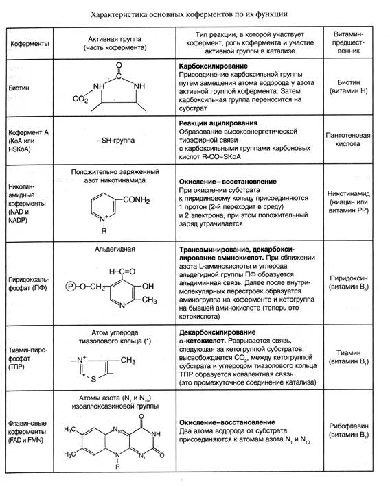 Структурная организация ферментов - student2.ru