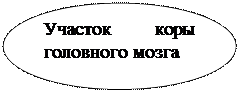 Структурно-функциональная система восприятия и компенсации организмом человека воздействия факторов среды обитания - student2.ru