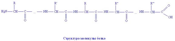 Структурные формулы амилозы и амилопектина - student2.ru