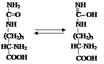 судьба продуктов распада аминокислот - student2.ru