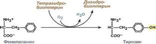 Существуют шесть классов ферментов - student2.ru