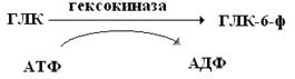 Т.о. образуется определенная пара АК и т-РНК. - student2.ru