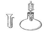 Тұқымдастығы – Aстралылар - Asteraceae - student2.ru