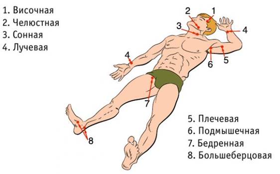Техника непрямого массажа сердца - student2.ru