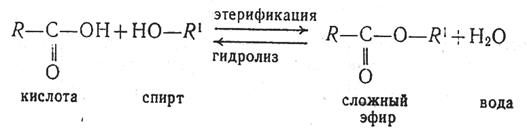 Тема 4. АРОМАТИЧЕСКИЕ УГЛЕВОДОРОДЫ - student2.ru