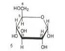 Тема 9: Углеводы: моносахариды, ди- и полисахариды - student2.ru