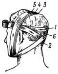 Теоретические сведения к практической работе. Общие правила и принципы наложения повязок - student2.ru