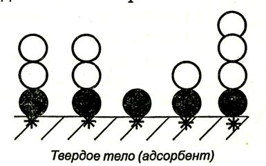 теории полимолекулярной адсорбции - student2.ru