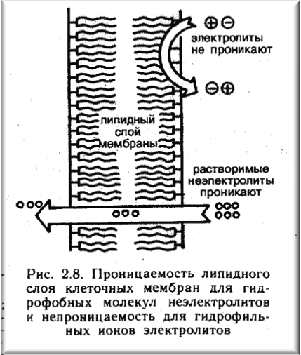 Термодинамічний підхід до процесу розчинення. Розчинність речовин. - student2.ru