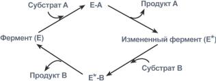 Типы ферментативных реакций - student2.ru