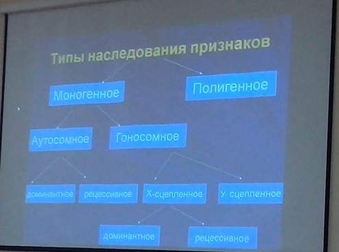 Типы наследования признаков - student2.ru