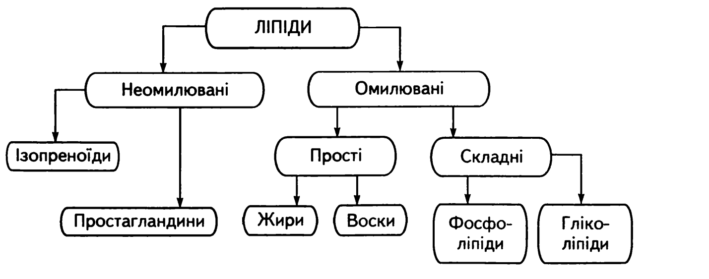 УглеводЫ. ДИ-, полИсахаридЫ - student2.ru