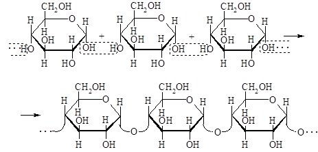 УглеводЫ. ДИ-, полИсахаридЫ - student2.ru