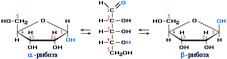 Углеводы. Классификация. Моносахариды. Строение. Изомерия, оптическая изомерия. Таутомерия. Хим. с-ва . биологическое значение. Стрептомицин. - student2.ru