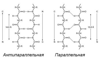 Упорядоченная вторичная структура - student2.ru