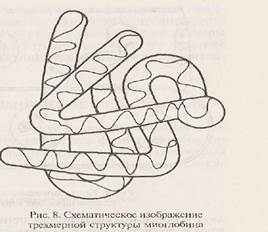 Уровни организации белковой молекулы - student2.ru