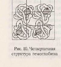 Уровни организации белковой молекулы - student2.ru