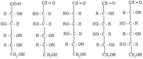 Установите правильную последовательность. Тема 8. Углеводы. Моносахариды - student2.ru