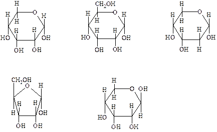 Установите правильную последовательность. Тема 8. Углеводы. Моносахариды - student2.ru