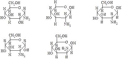 Установите правильную последовательность. Тема 8. Углеводы. Моносахариды - student2.ru