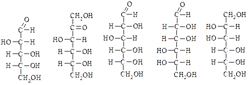 Установите правильную последовательность. Тема 8. Углеводы. Моносахариды - student2.ru