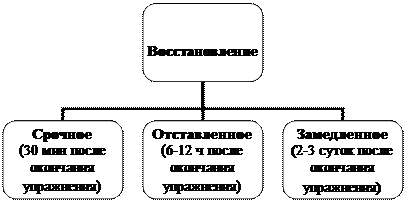 Утомление при выполнении длительных упражнений - student2.ru