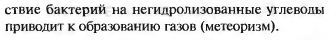 В. Анаболические функции цитратного цикла - student2.ru