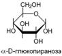 V. классификация аминокислот по полярности радикалов. - student2.ru