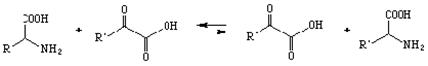 В основе классификации ферментов - тип катализируемой реакции - student2.ru