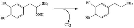 В основе классификации ферментов - тип катализируемой реакции - student2.ru