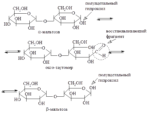 В структуре всех восстанавливающих дисахаридов есть свободный полуацетальный гидроксил - student2.ru