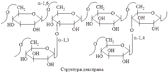 В структуре всех восстанавливающих дисахаридов есть свободный полуацетальный гидроксил - student2.ru