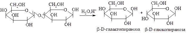В структуре всех восстанавливающих дисахаридов есть свободный полуацетальный гидроксил - student2.ru