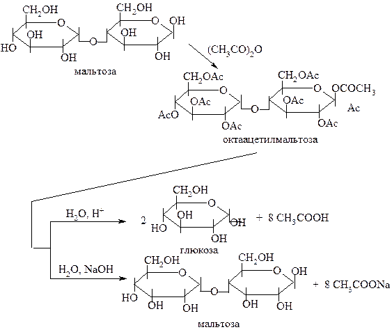 В структуре всех восстанавливающих дисахаридов есть свободный полуацетальный гидроксил - student2.ru