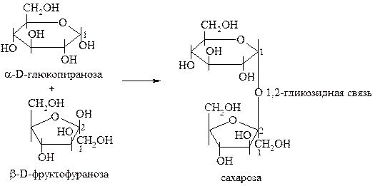 В структуре всех восстанавливающих дисахаридов есть свободный полуацетальный гидроксил - student2.ru