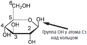 Важные функции маленькой молекулы - student2.ru