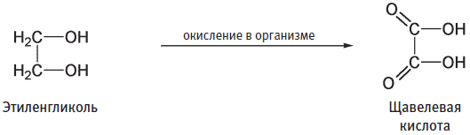 Важные функции маленькой молекулы - student2.ru