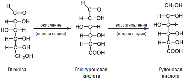 Важные функции маленькой молекулы - student2.ru