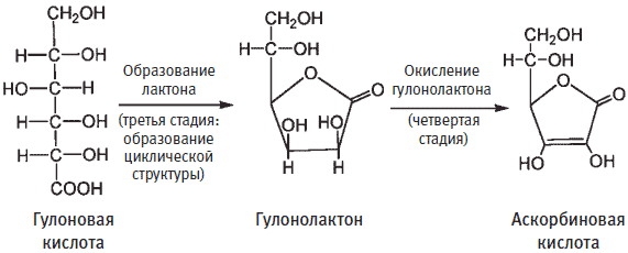 Важные функции маленькой молекулы - student2.ru