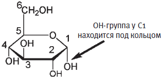 Важные функции маленькой молекулы - student2.ru