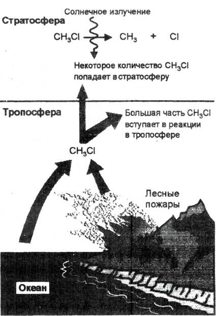 Вещества, разрушающие озон - student2.ru