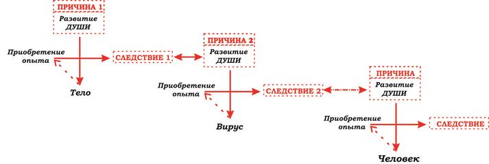 VII_Закон Причины и Следствия - student2.ru