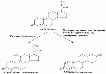 VIII_Закон Изменения или Трансформации. - student2.ru