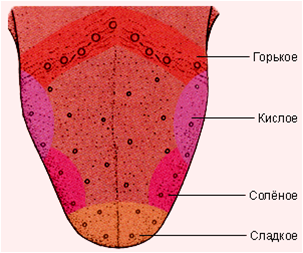 вкусовой анализатор - student2.ru