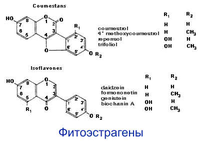 Влияние гормонов на состояние кожи - student2.ru