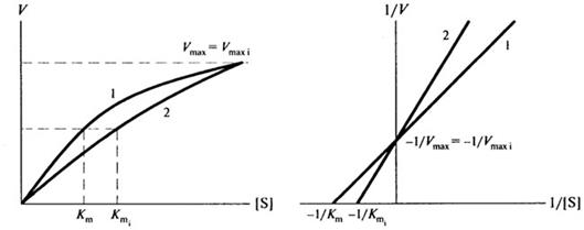 Влияние концентрации фермента на скорость ферментативной реакции - student2.ru