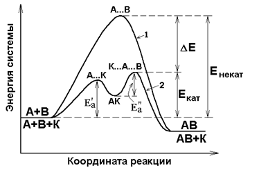 Влияние температуры. Энергия активации - student2.ru