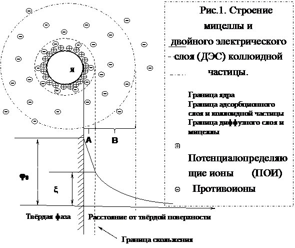Внутренняя структура коллоидных частиц - student2.ru