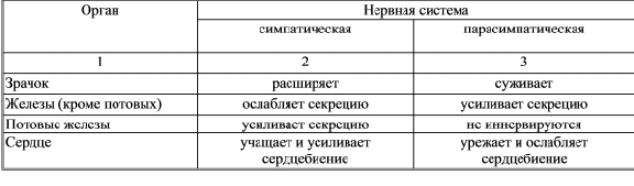 Вопрос8*Вегетативная нервная система. Функциональные отличия симпатической и парасимпатической частейвегетативной нервной системы. - student2.ru