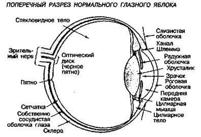воздействие на глаза - student2.ru